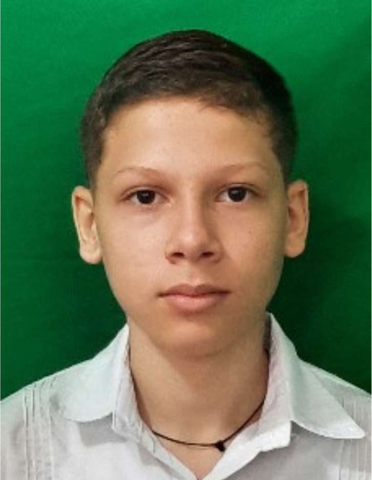 Imagen de desarrolladores